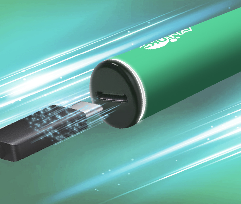 POD 600 - RECHARGEABLE BATTERY