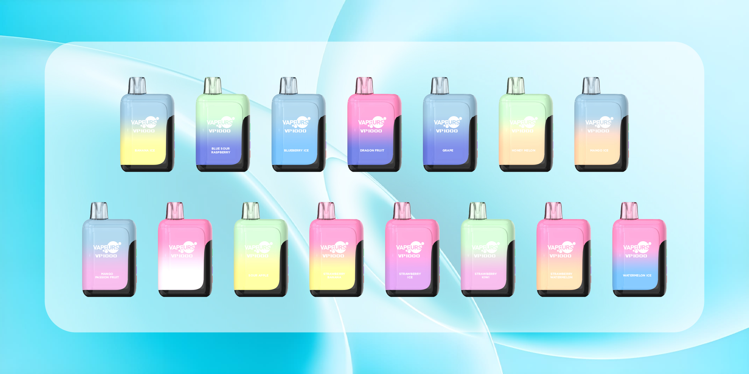 VP1000 product lineup